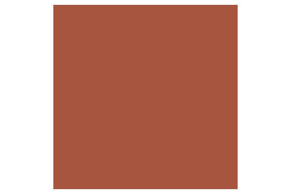 Promarker Burnt Umber R646
