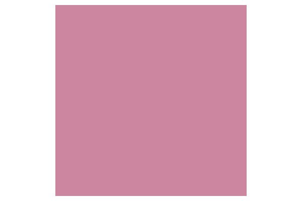 Promarker Dusky Rose R327