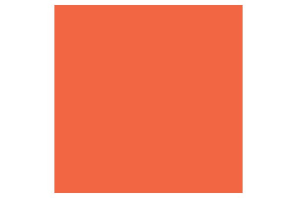 Promarker Orange R866