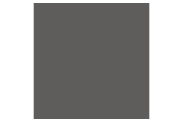 Brush Marker Cool Grey 5 Cg5