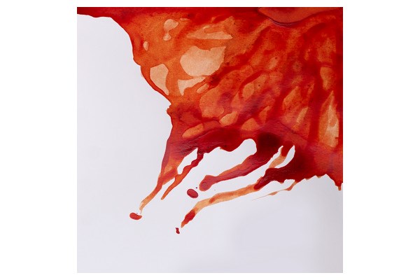 Drawing Ink 14ml Burnt Sienna 074