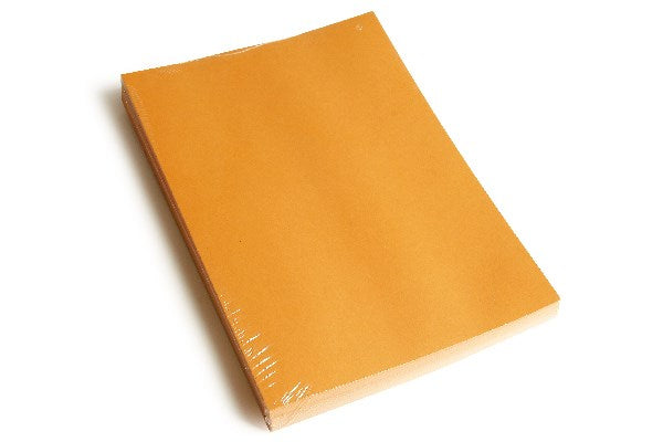 Fantasy karton 180g A4 orange