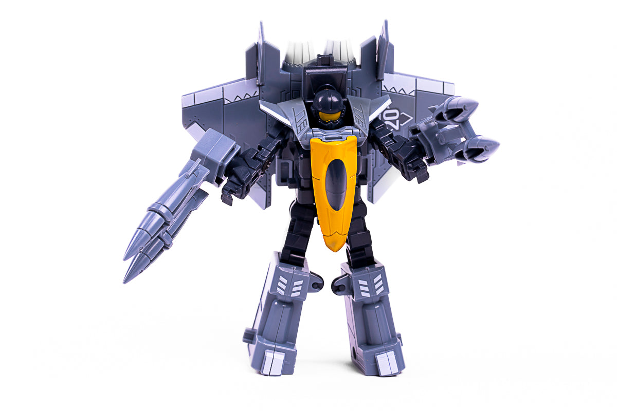 Transform, Fighter