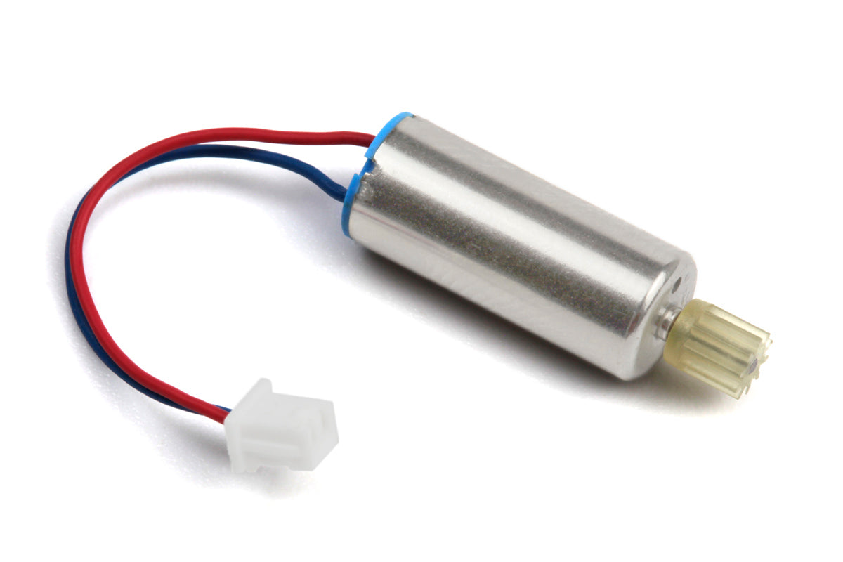 Motor w/ Pinion