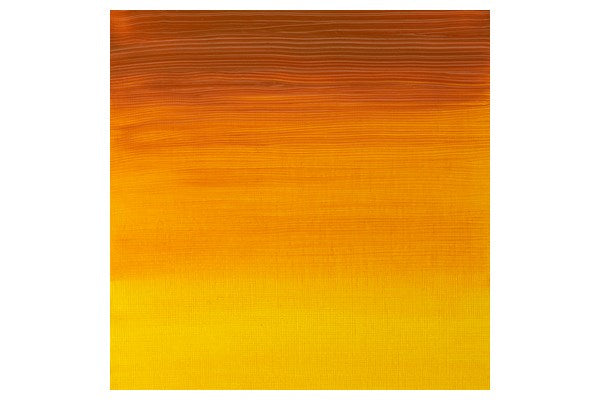 Artists oil colour 37ml Indian yellow 319