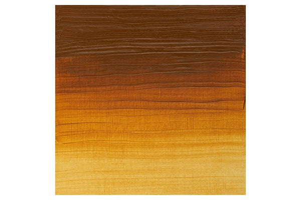 Artists oil colour 37ml transparent gold ochre 646