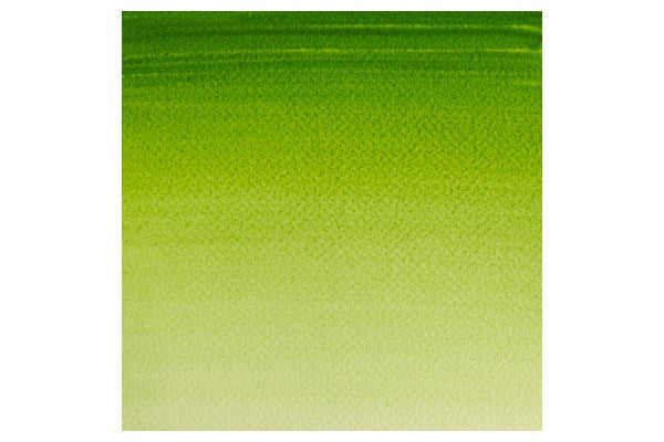 Cotman watercolour 1/2 pan Sap Green 599