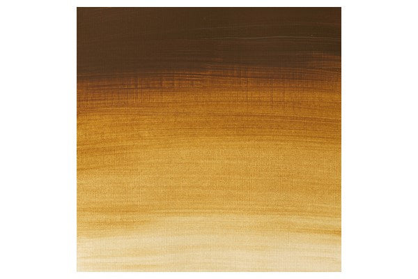 Proff. acrylic 60ml raw umber light 557