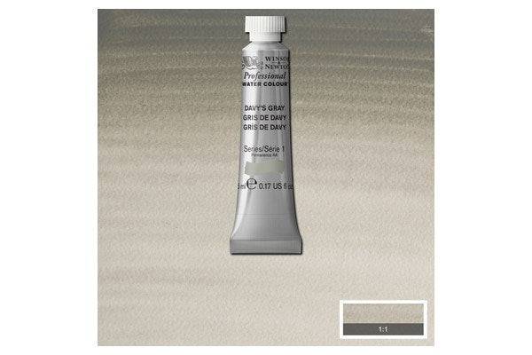 Watercolour proff. 5ml Davy's Grey 217