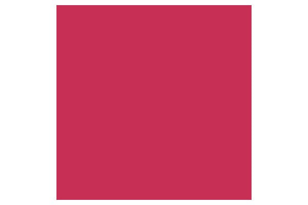 Pigment Marker Winsor Red Deep 725
