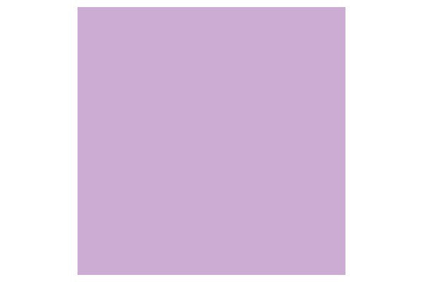 Promarker Orchid  V528
