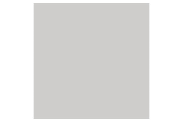 Brush Marker Cool Grey 3  Cg3
