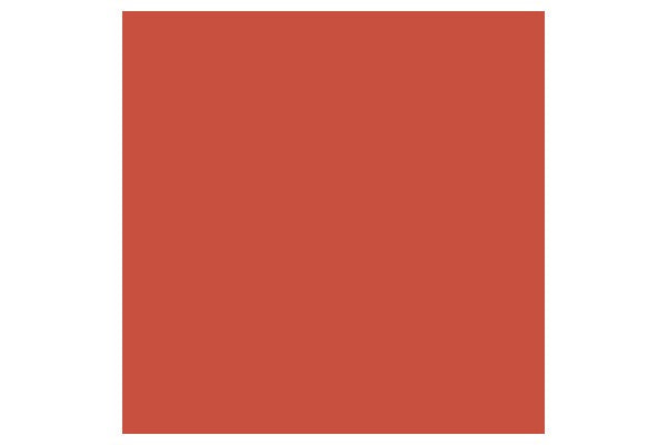 Brush Marker Burnt Orange R946