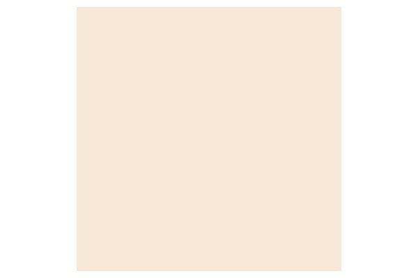 Brush Marker Almond O819