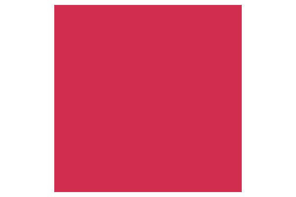 Brush Marker Ruby  R455