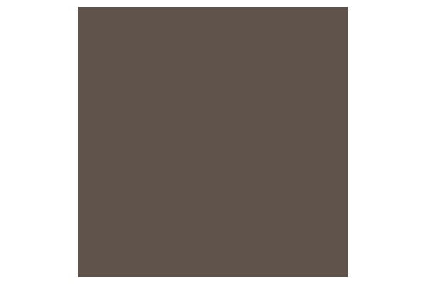 Brush Marker Warm Grey 5  Wg5