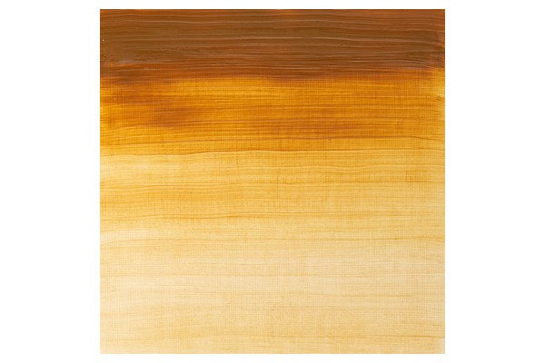 Winton oil 37ml raw sienna row