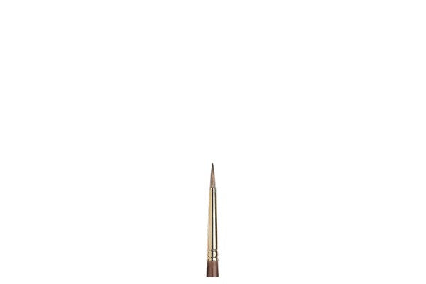 Monarch brush round long size 2