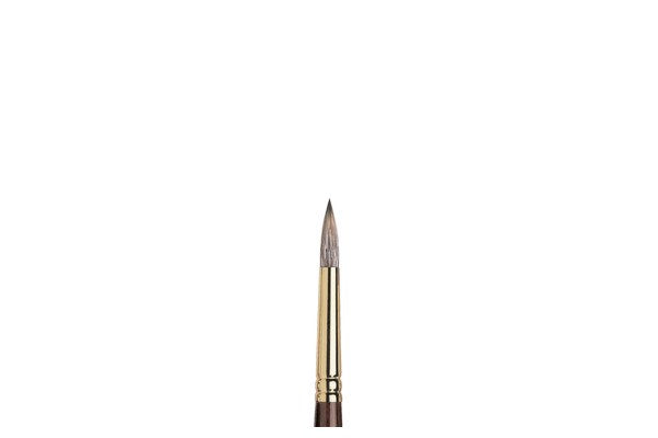 Monarch brush round long size 8