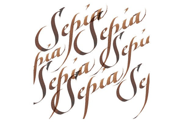 Calligraphy Ink 30Ml Sepia 609