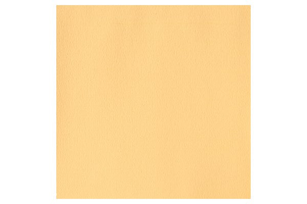 Designers Gouache 14ml Naples Yellow 422