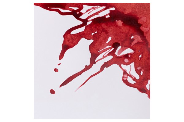 Drawing Ink 14ml Brick Red 040