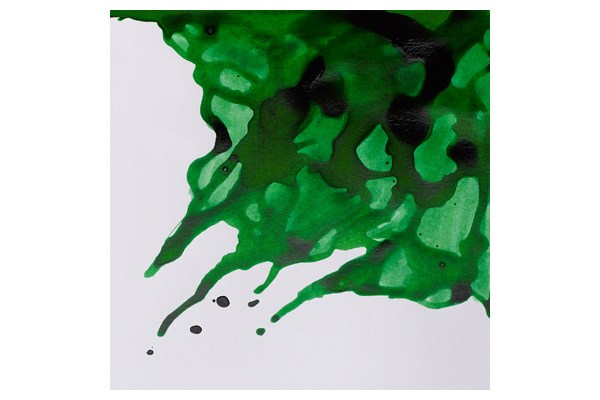 Drawing Ink 14ml Brilliant Green 046
